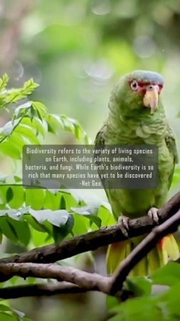 Biodiversity definition #amazingfacts #biodiversity #ecology #nature #biome #environment