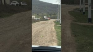 Поездка в Шапсугу  30.03.2025