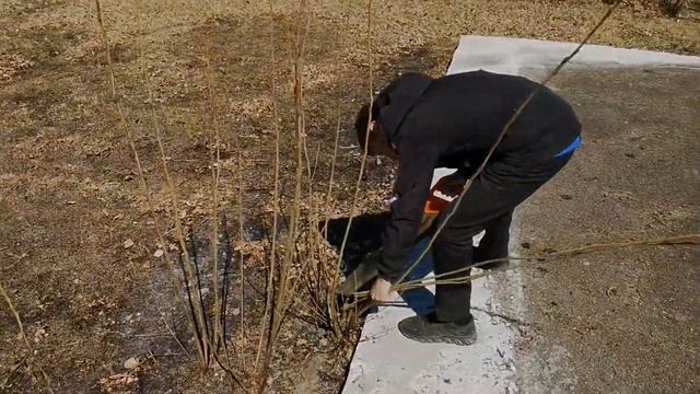 Вместе - мы сила! смотреть онлайн