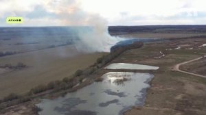 В сети появились кадры сожженных могил на Игнатовском кладбище под Ярославлем