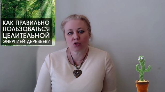 Как воспользоваться силой деревьев