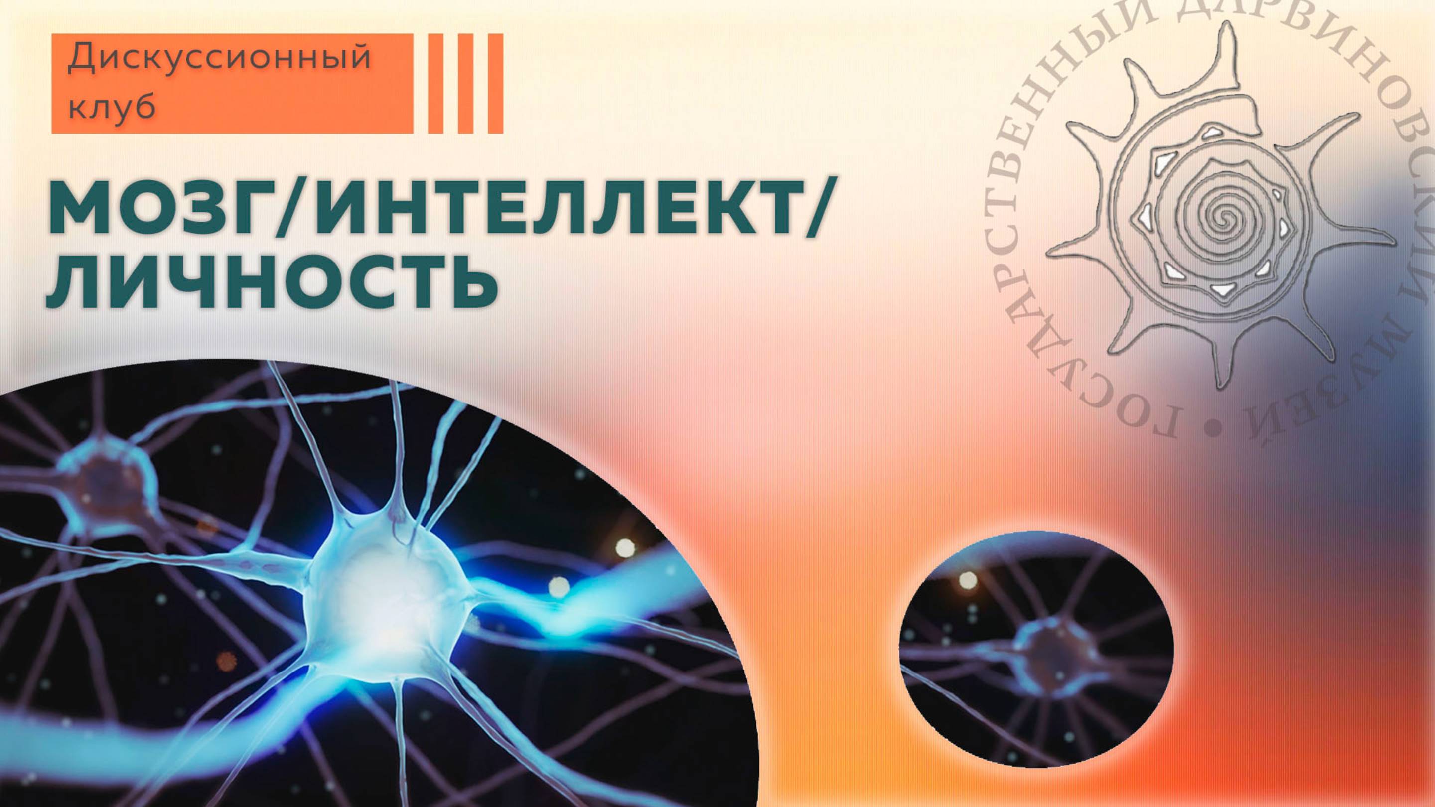 Мозг/интеллект/личность