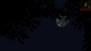 Бабушкин ночник. Страшные истории 🫣🫣🫣🫣