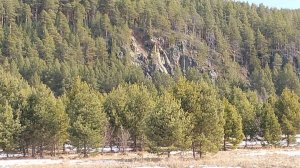 Участок в Арамашево