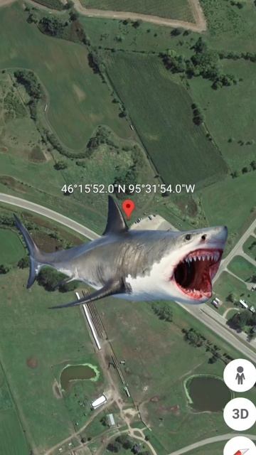 shark 🦈 is real😱 on Google maps 🌎🔍😱 and Google Earth 😱🦈🔍🌎 #short video смотреть онлайн