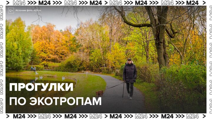 Весной москвичи все чаще выбирают прогулки по экотропам - Москва 24