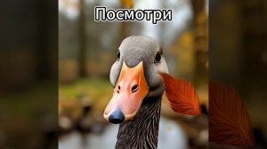Грустный гусь #топ #настольныеигры #boardgames #творчество #аниме #арт #игра #мем #гусь #танцы
