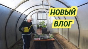 Садовый влог/Занимаюсь покраской/Обновили грядки/Тестируем игрушку для кошек
