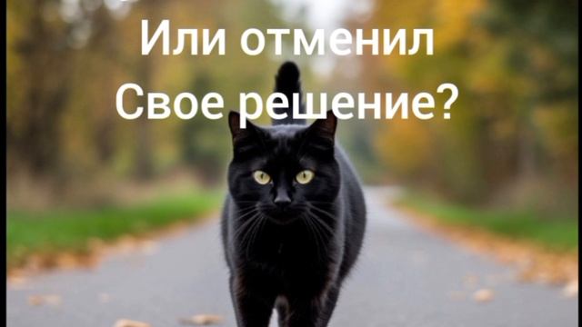 какая примета?