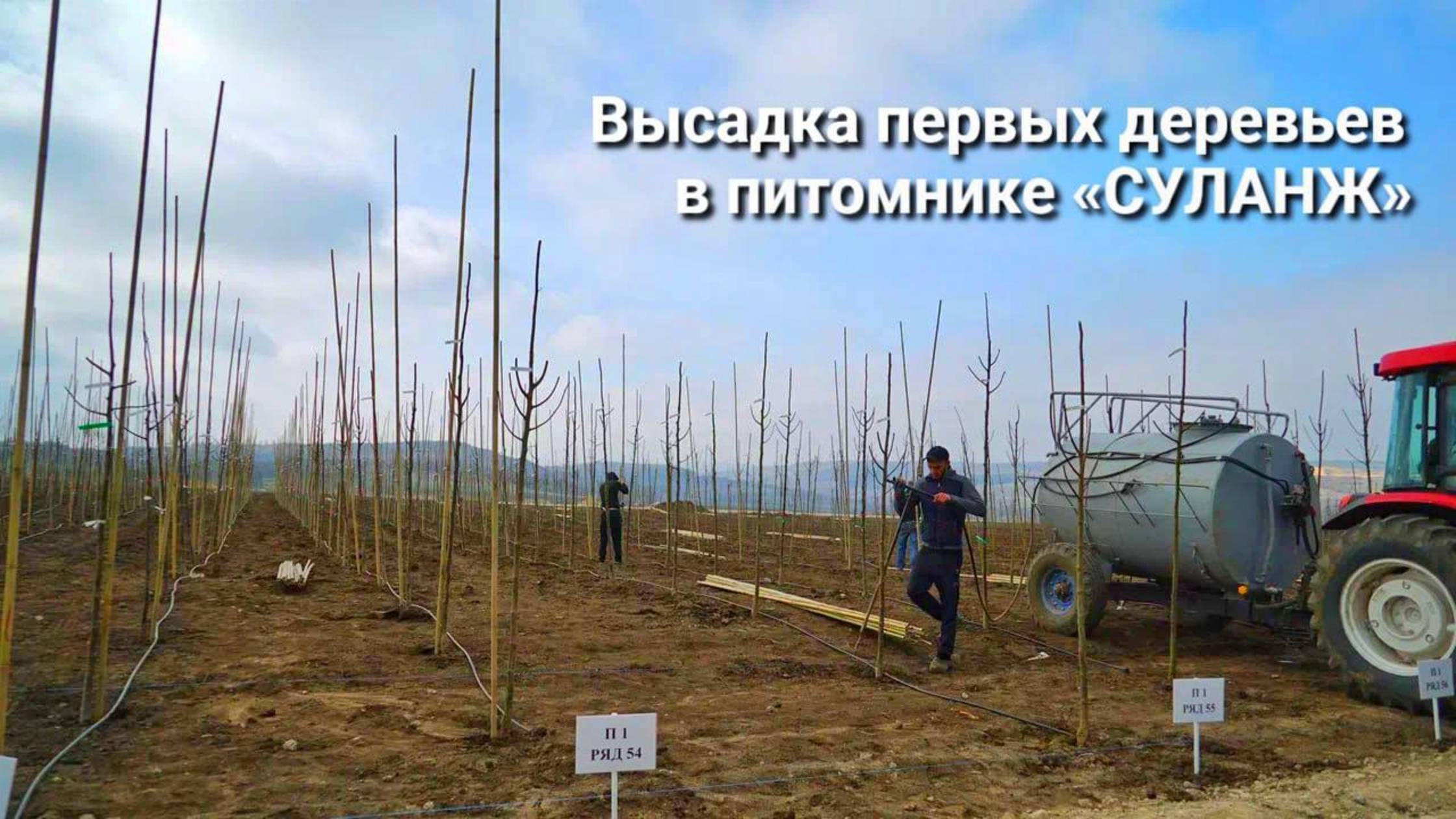Первые растения в питомнике "Суланж"