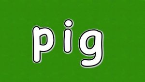 The Vowel Song a e i o u