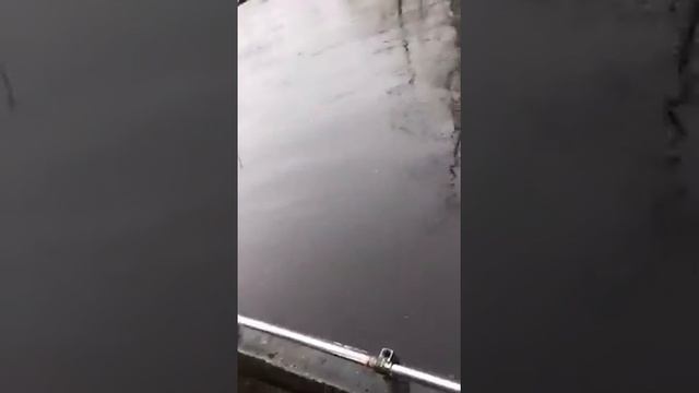 Таймень на спининг. смотреть онлайн