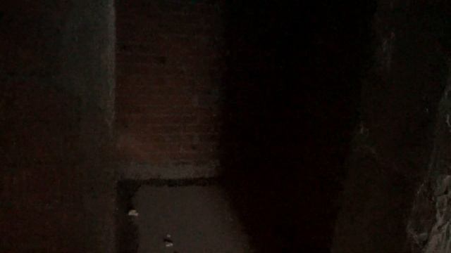 Продажа ПСН площ. 62,81 м2 в цокольном этаже корпуса №2 ЖК Томилино смотреть онлайн