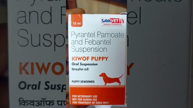 Dog first Vaccination PUPPY DP || Distemper and Parvovirus || Heavy Bone Labrador || Lushi : The La