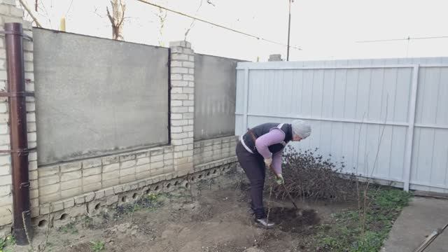 🏡 ДЕЛА САДОВЫЕ🥀 _ сделала ОКРОШКУ 👍ДОМАШНИЙ влог