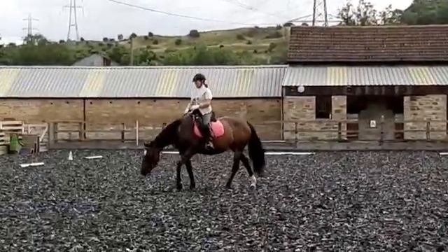 Judy Hansen and Katya BD Intro B August 2020 смотреть онлайн