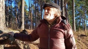Энергетическая защита.