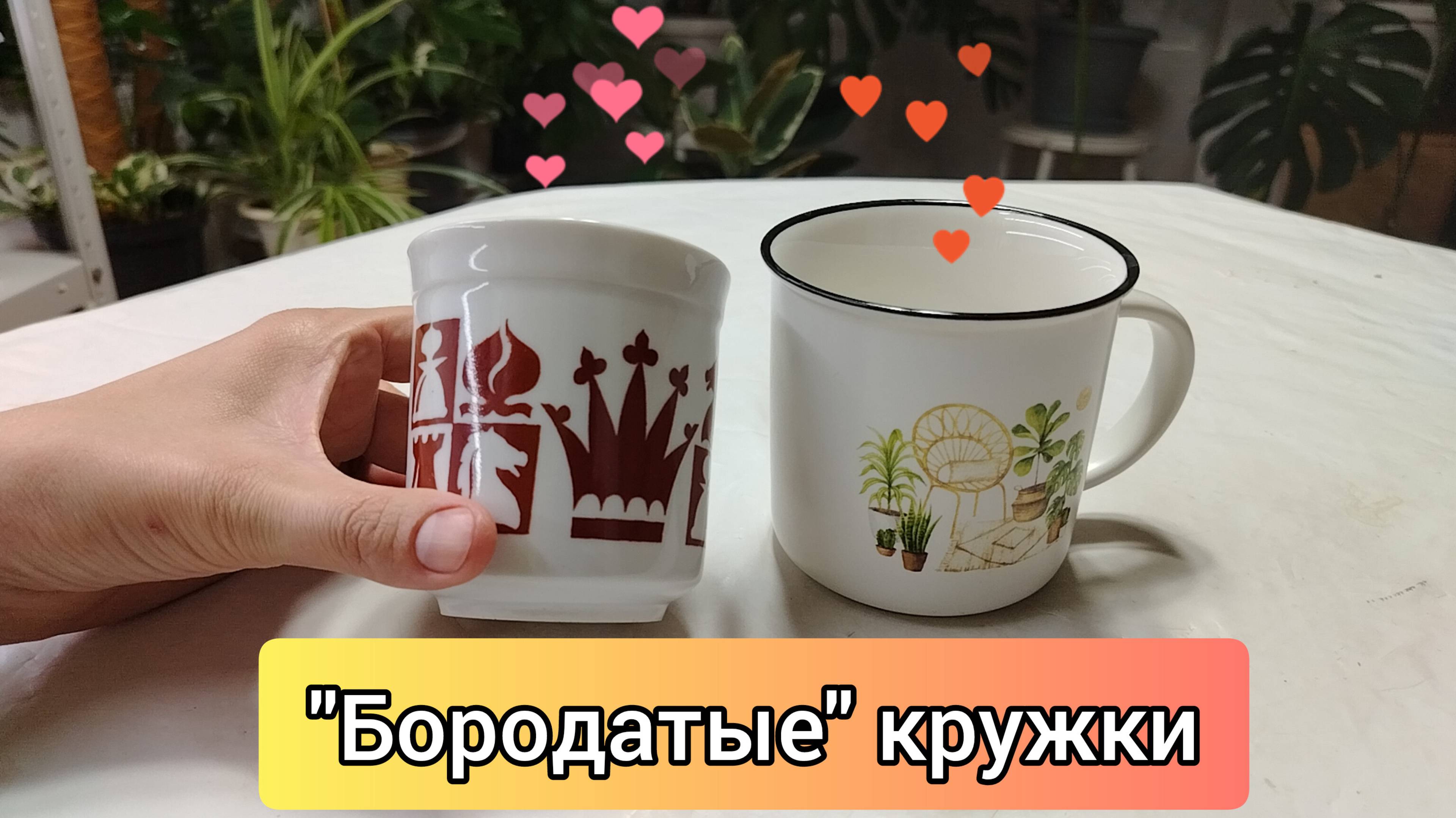 БОРОДАТЫЕ КРУЖКИ