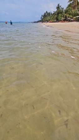 Рыбалка на Фукуоке