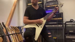 Washburn WV 66GT Greg Tribbett White