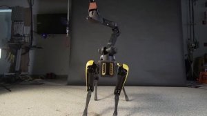 ШОК - робот сошел с ума