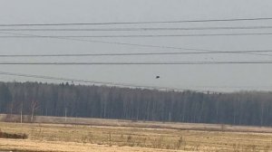 Весна