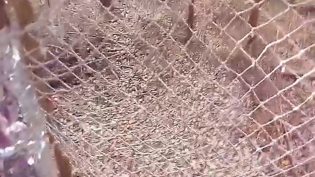 ОБЗОР ДОМИКА НА ДЕРЕВЕ!!! смотреть онлайн