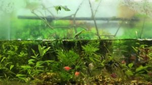 Полюдариум спустя 4 месяца что нового