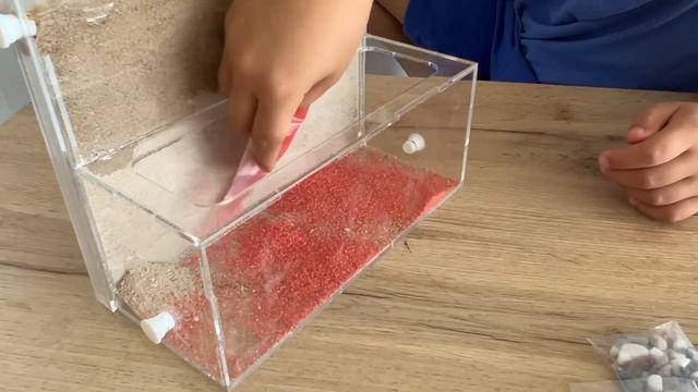 Я завел муравьев 🐜🐜🐜 что теперь с ними делать?!мой первый формикарий🤪 смотреть онлайн