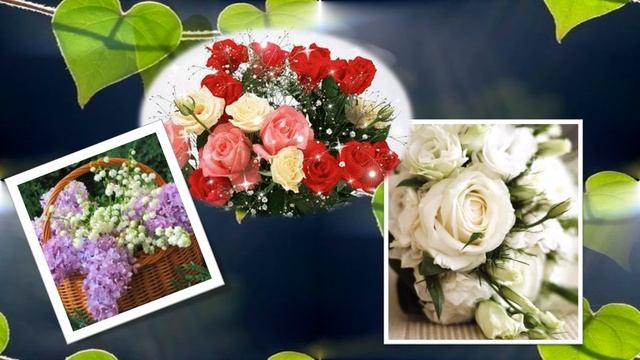 сднемрождения