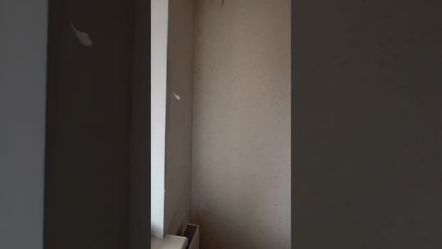 Передаём трёхкомнатную квартиру в ЖК Юбилейный