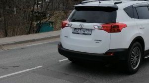 1.04.2025.Усадьба Парк Кино Ляхово. Парк Кошек. Домодедово. Нанесение разметки пешеходного перехода
