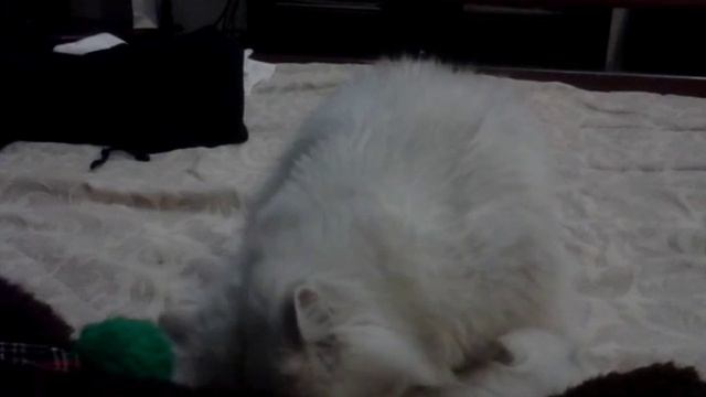 Полина - любящая мамочка смотреть онлайн