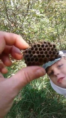 Наш спецназ