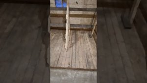 коровник каркасный