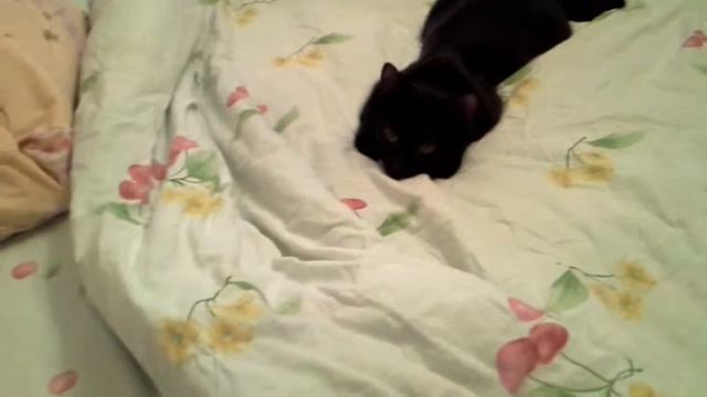 20120924 024043 смотреть онлайн