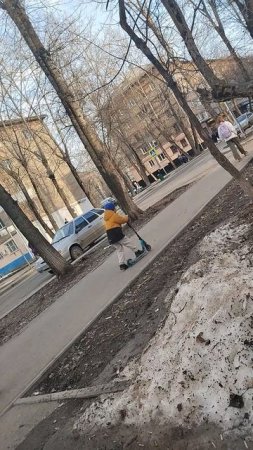 01-04-2025  весёлые семейки
