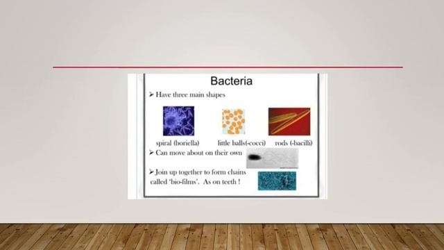 microbiology BSc level topic presentation by life sciences students  @Rsbcollege  #microbiology