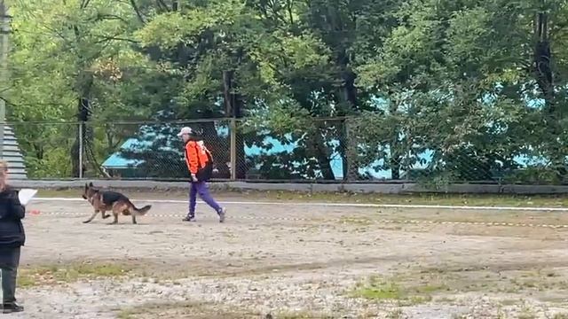 Аксельбруннен Мацумото, 2 года. Дебют в рабочем классе. Проверка рабочих качеств. Фактор смотреть онлайн