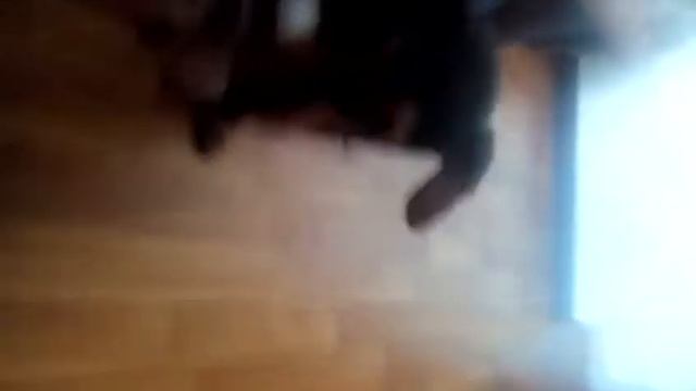 Наше видео задом наперед смотреть онлайн