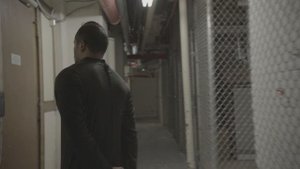 5481186-hd_3840_2160_24fps
