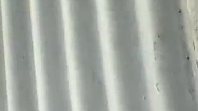 Вольер для собак 2 смотреть онлайн