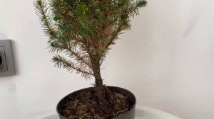 ПЕРЕДЕЛЫВАЮ ДЕКОР//РЕМОНТ//ПИЦЦА НА СКОВОРОДЕ//НОВЫЙ ЦИКЛОН