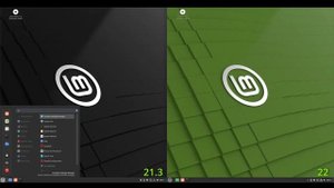 Linux Mint 21.3 vs Linux Mint 22: Can YOU tell the difference? 🍃