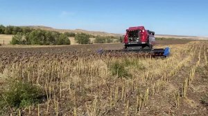 Жатка подсолнечниковая безрядковая Harvester SN8400 (8,4м.) с приводом Schumacher