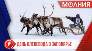 Самбург завершил череду Дней оленевода в Пуровском районе