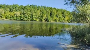 Свекровь выгнала меня, но я ей приготовила сюрприз