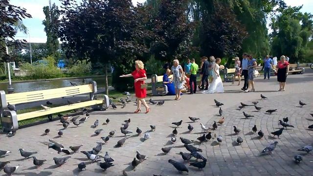 Свадьба Станислава и Татьяны смотреть онлайн