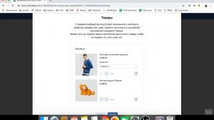 Товары ВКонтакте и подключение VK PAY