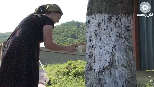 Субботники в Шалинском районе 26,08,2017 смотреть онлайн